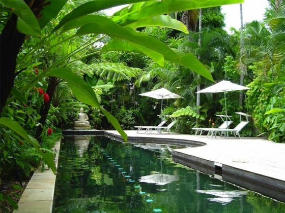 pool design surrounded by a tropical garden